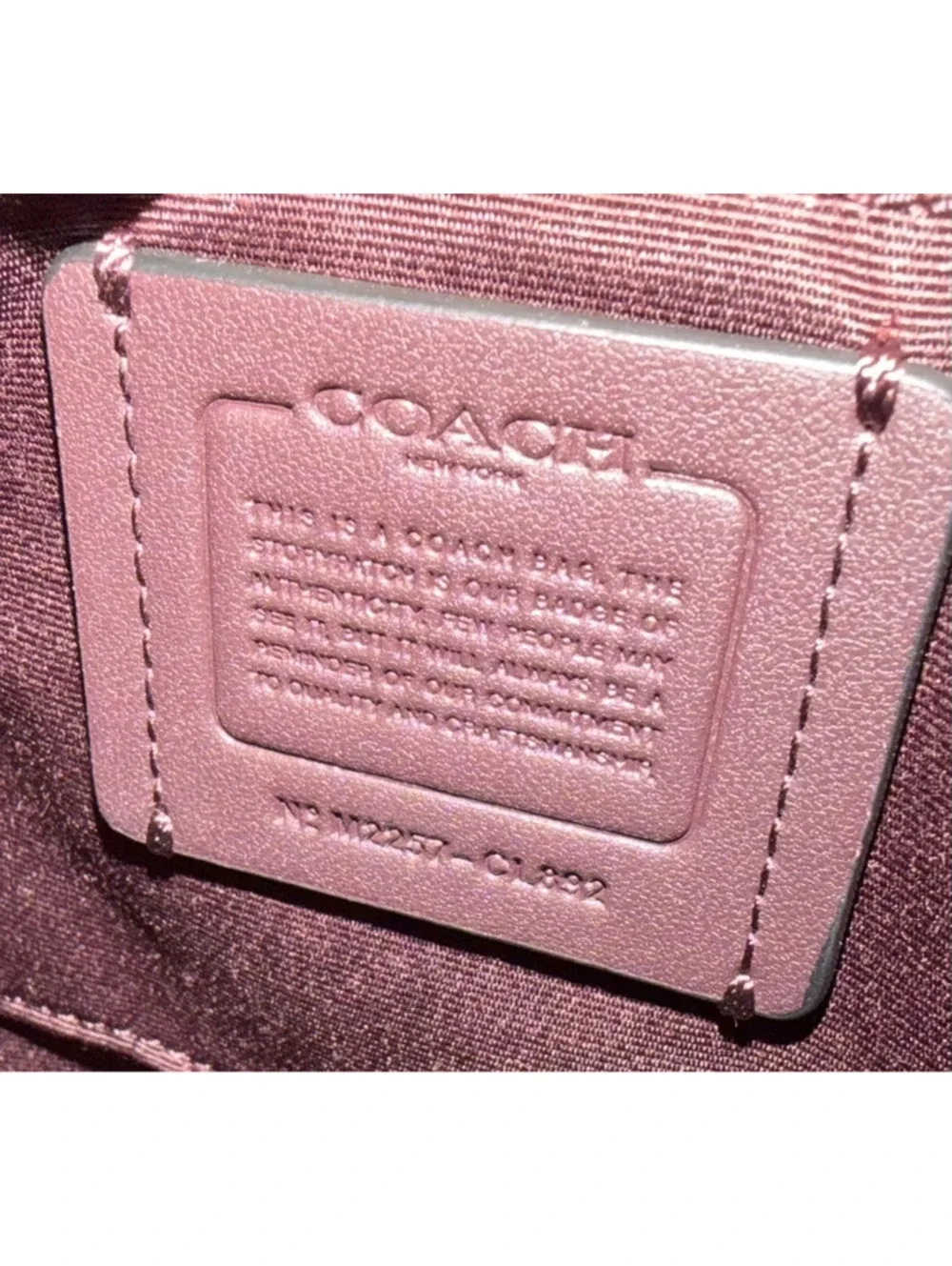 Coach this bag